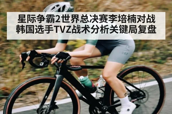 星际争霸2世界总决赛李培楠对战韩国选手TVZ战术分析关键局复盘